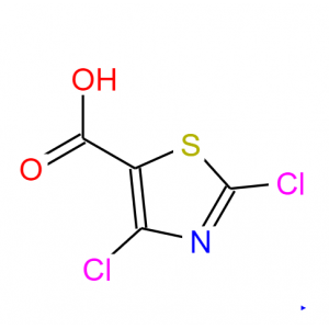2,4-二氯-5-噻唑羧酸